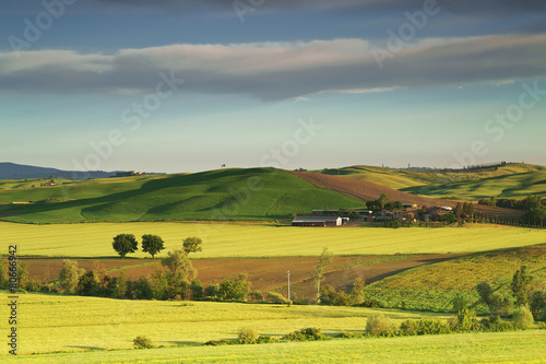The countryside of Tuscany. Italy