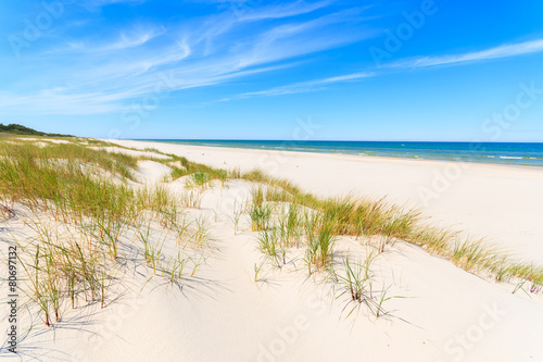 Grass on dunes on beautiful Baltic Sea beach near Leba, Poland