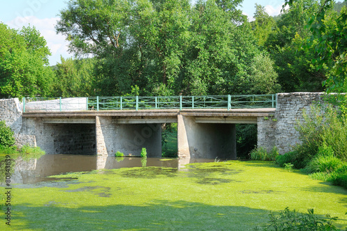 bridge over the river and aquatic plants