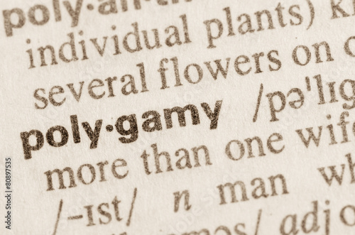 Dictionary definition of word polygamy