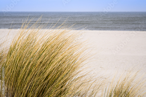 Dünenlandschaft auf Sylt, Schleswig-Holstein,Deutschland