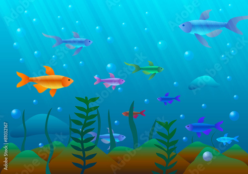 Underwater world of fish and seaweed