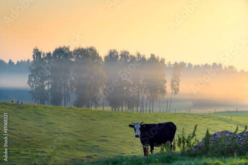 Wiosną Na Polskiej Wsi