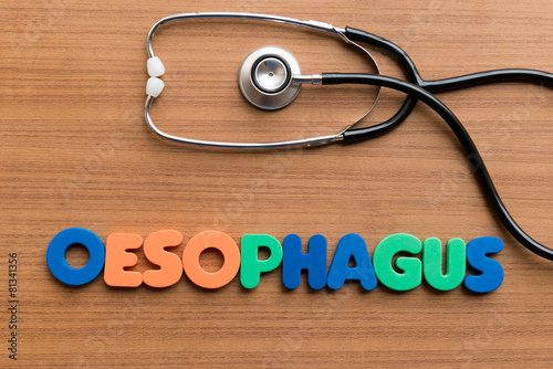 oesophagus