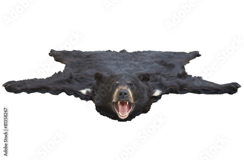Low angle view of a bearskin rug isolated on white
