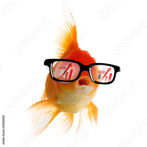 Smart Gold fish