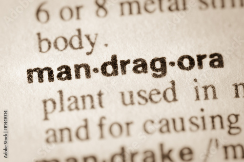 Dictionary definition of word mandragora