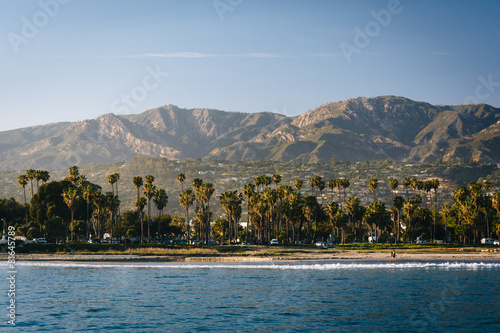 View of palm trees on the shore and mountains from Stearn's Whar