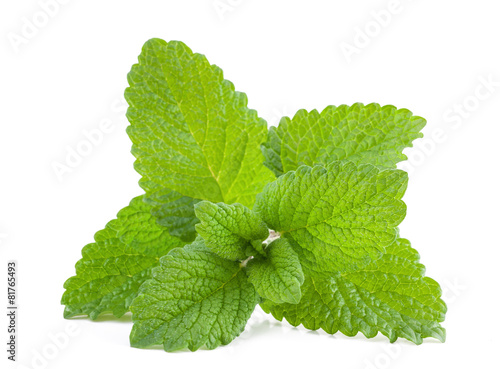 Lemon balm