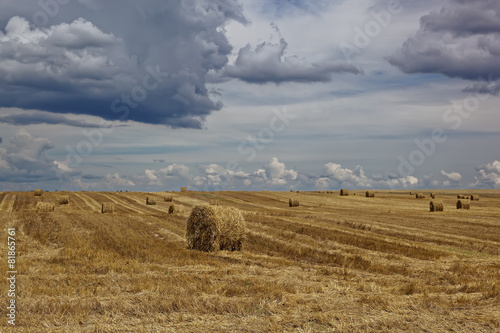 Harvested wheat field with hay rolls on the background of a stor