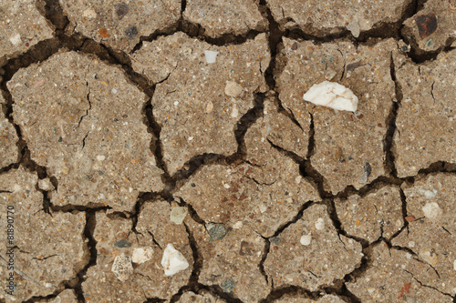 background of cracked dry soil macro