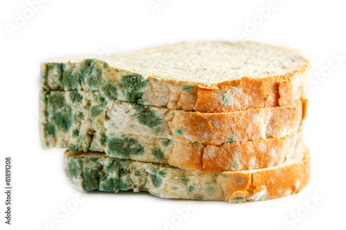 moldy bread