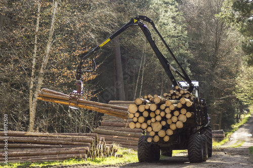 tractors for processing of harvested timber in the forest