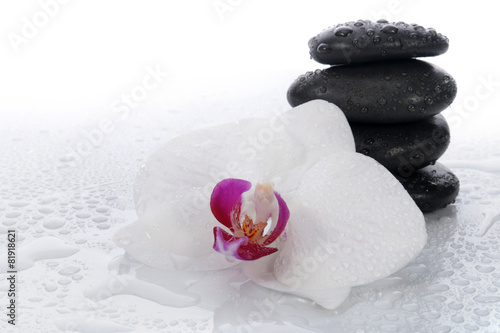 White orchid and spa stones