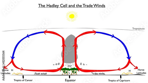 Hadley Cell and Trade Winds