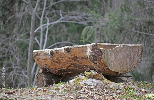 big altar in the middle of the forest consists of a big tree tru