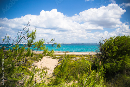 wild coast of Sardinia