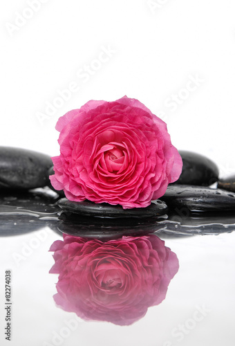 Red rose with stones reflection