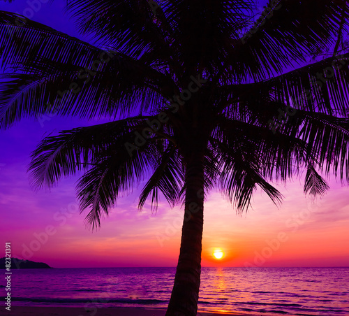 Beautiful sunset. Sunset over the ocean with tropical palm tree