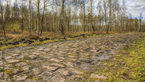 Pave d'Arenberg