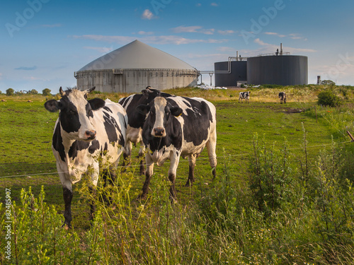 Biogas plant on a farm