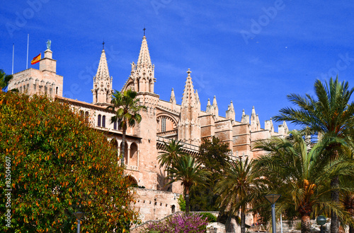 Majorca Palma Cathedral at Balearic Islands Spain