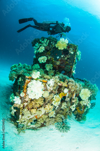 scuba diving diver shipwreck kapoposang indonesia underwater