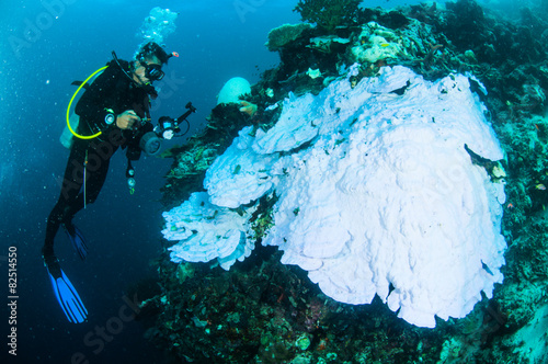 scuba diving diver kapoposang indonesia bleaching underwater