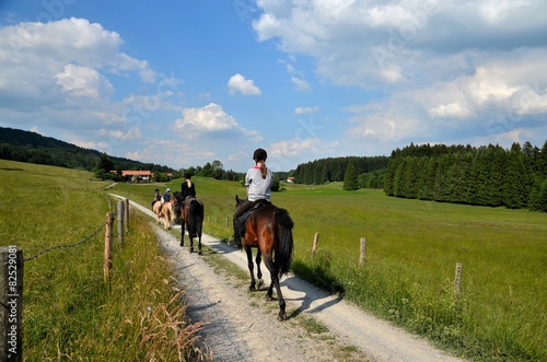 Mädchen und Pferde beim Ausritt in Natur