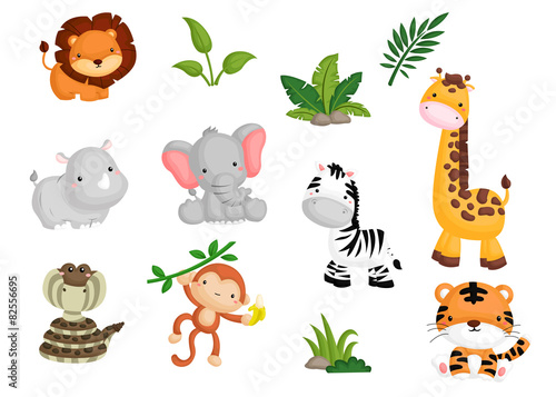 Jungle animal Vector set