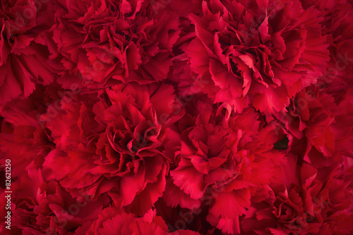 Bouquet of red flowers carnation for use as nature background.