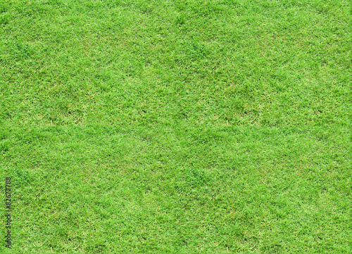 Seamless tileable texture - green grass meadow