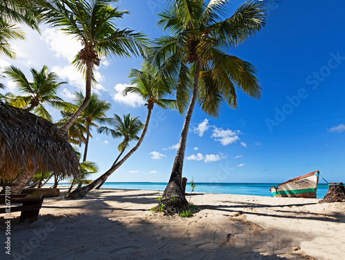 Isla catalina panorama