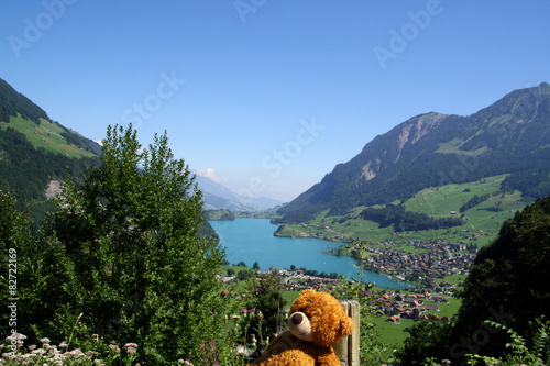 Teddybär in den Schweizer Bergen