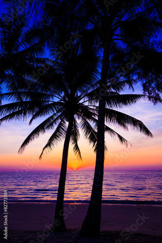 Beautiful sunset. Sunset over the ocean with tropical palm tree