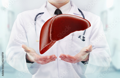 Doctor with stethoscope and liver on the hands in a hospital