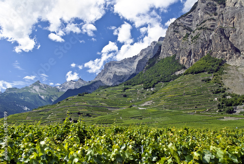 Rebberge im Wallis