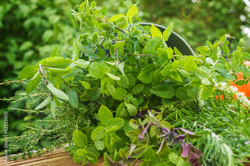 Gartenkäuter, Heilpflanzen