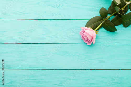 Pink rose on blue wooden background