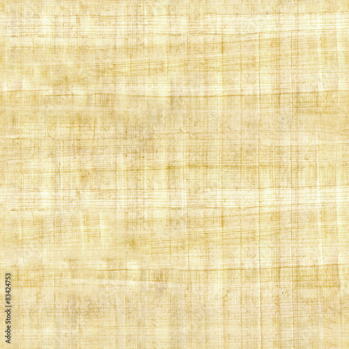 papyrus texture - seamless pattern - ridged surface