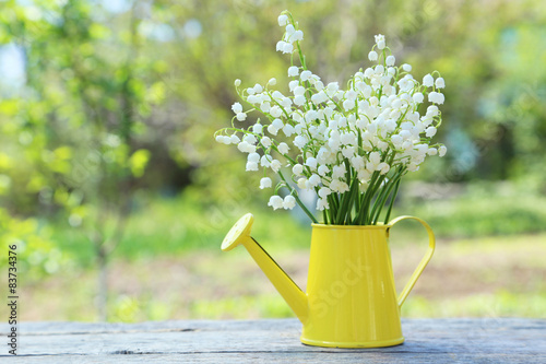 Lily of the Valley in watering can on grey wooden background, ou