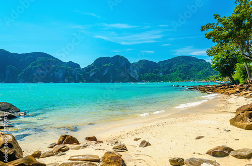 Fabulous beach with exotic plants and white sand