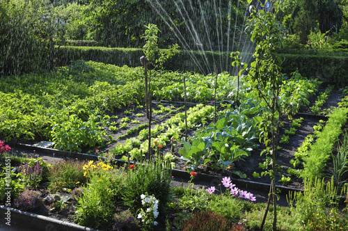 Bewässerung im Schrebergarten 