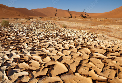 drought in desert, Namibia