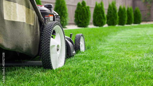 Lawn mower cutting green grass in backyard, mowing lawn