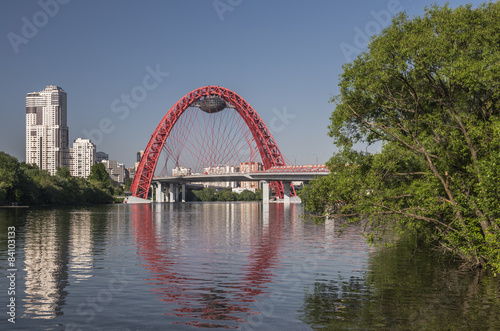 Москва. Живописный мост в Серебряном Бору.