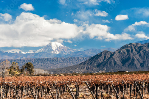 Volcano Aconcagua and Vineyard