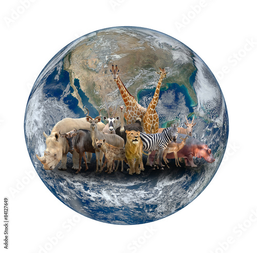 group of africa animal with planet earth