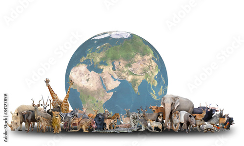 animal of the world with planet earth