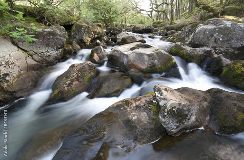 The River Plym. Its source is 450m above sea level on Dartmoor.